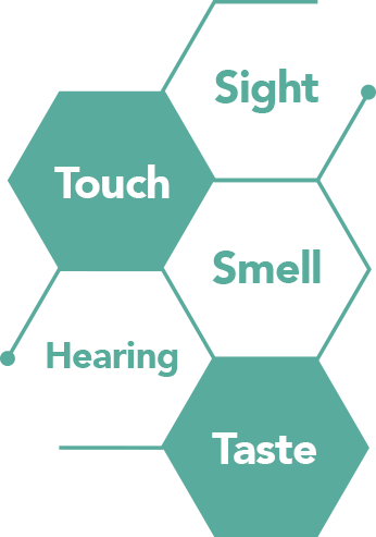 Sensory Overview – Kerry Health And Nutrition Institute