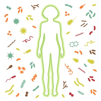 Immune System, What’s Your Function? – Kerry Health And Nutrition Institute