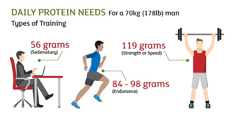 Protein requirements for athletic success