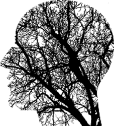 Brain health image