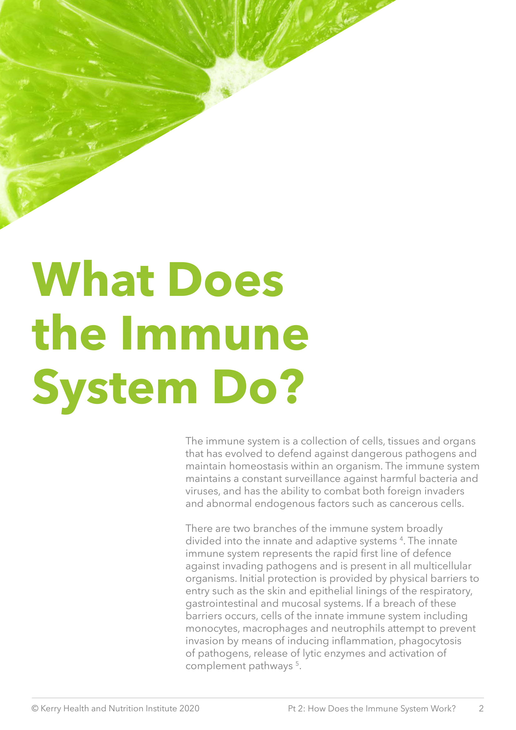 The Science Of Immunity And Aging