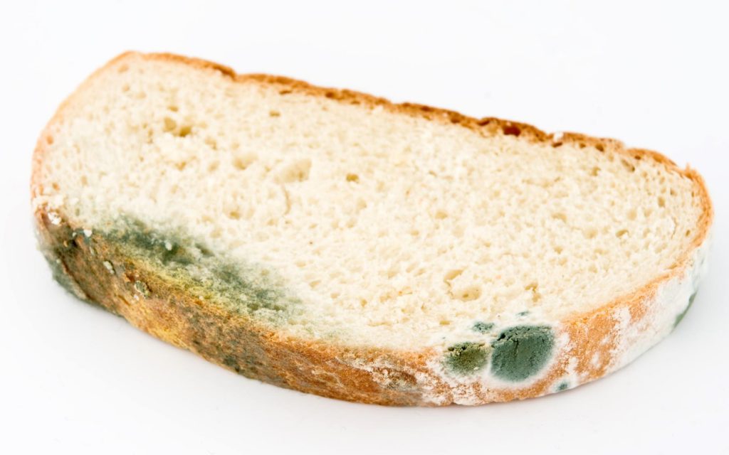 The Role of Food Additives Part 2: Preservatives