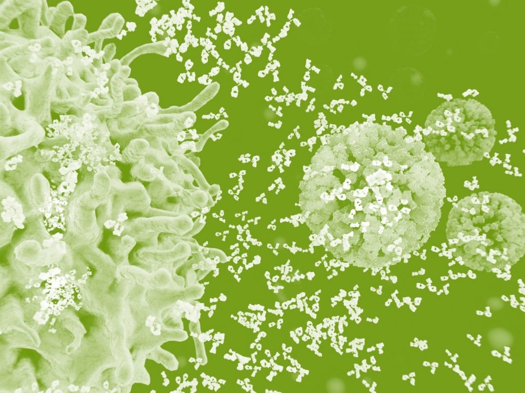 Nutrition for Immune Health – Science at-a-Glance
