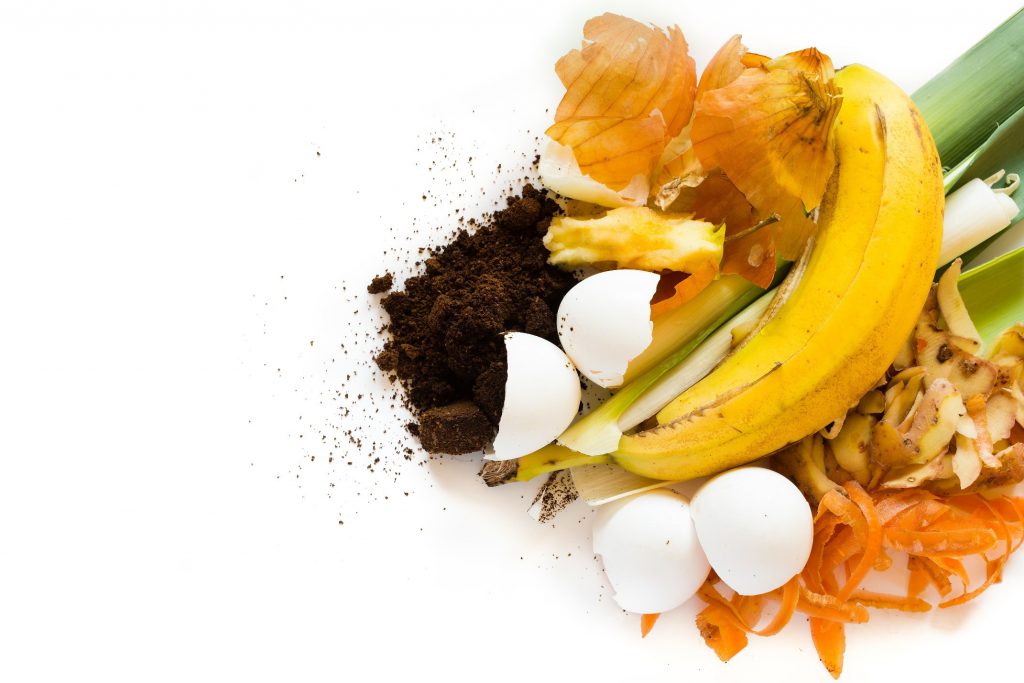 Image of banana peel, coffee grounds, fruit scraps