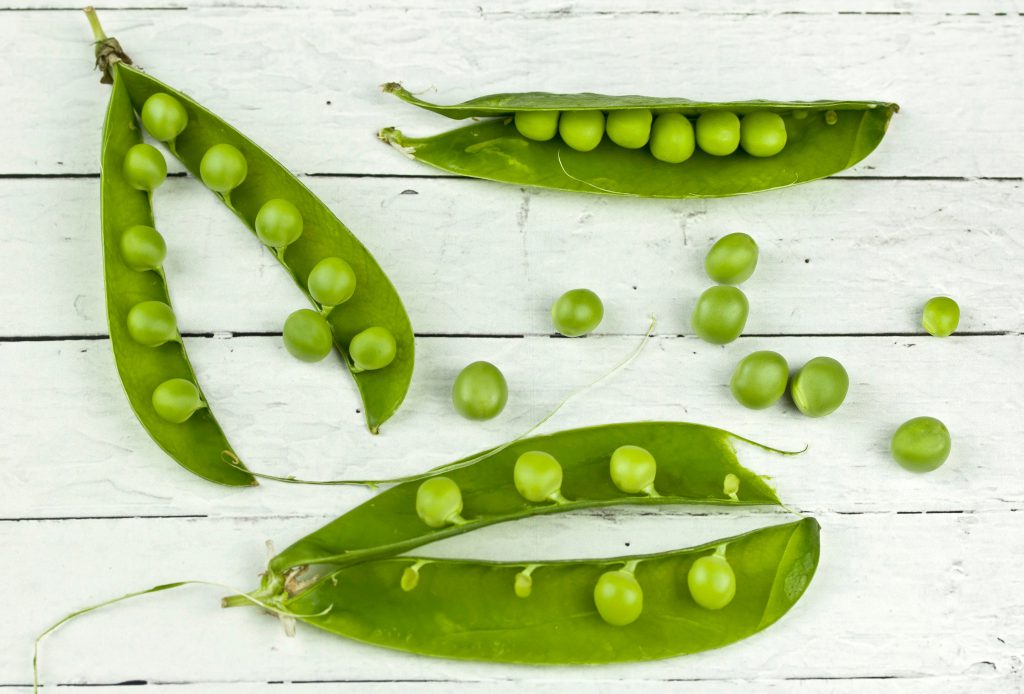 Green peas split open