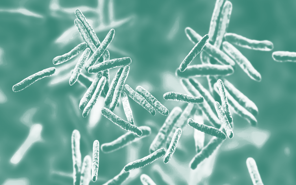 Webinar – Digestive Health: Know Your Ingredients