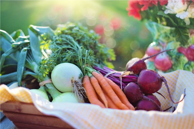 Basket of colorful vegetables