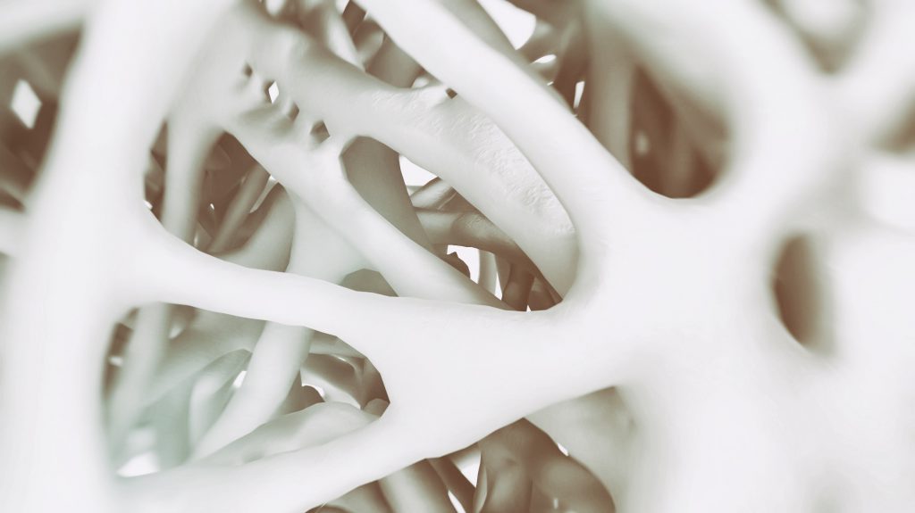 Bone-close-up-1024x575.jpg