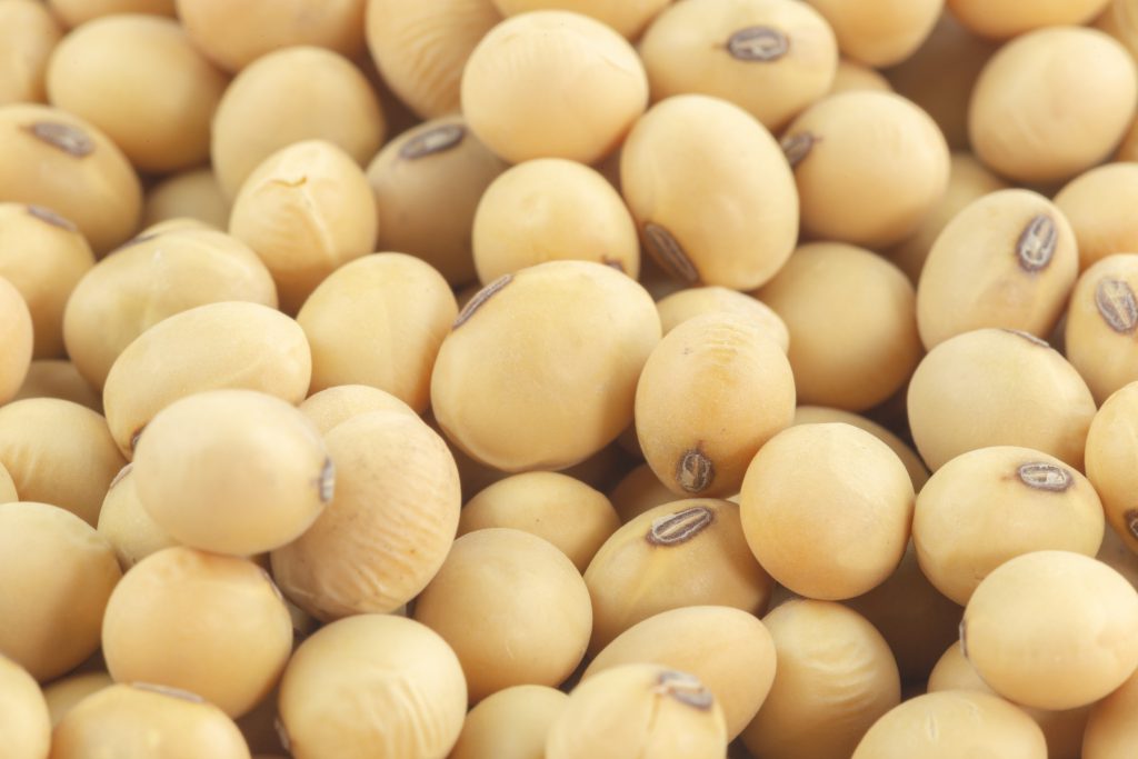 Close up image of soybeans