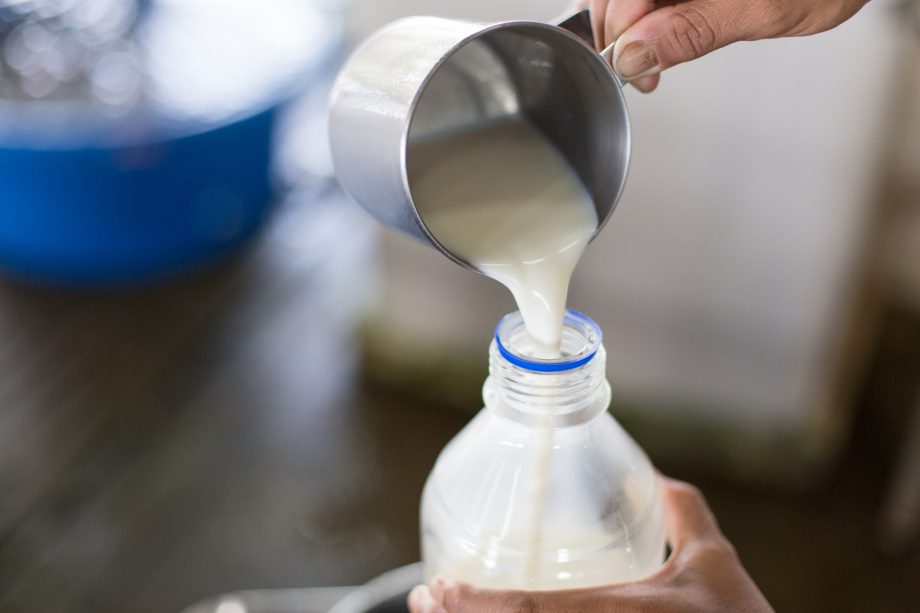 Nutrition Benefits of GrassFed Dairy Kerry Health And Nutrition Institute