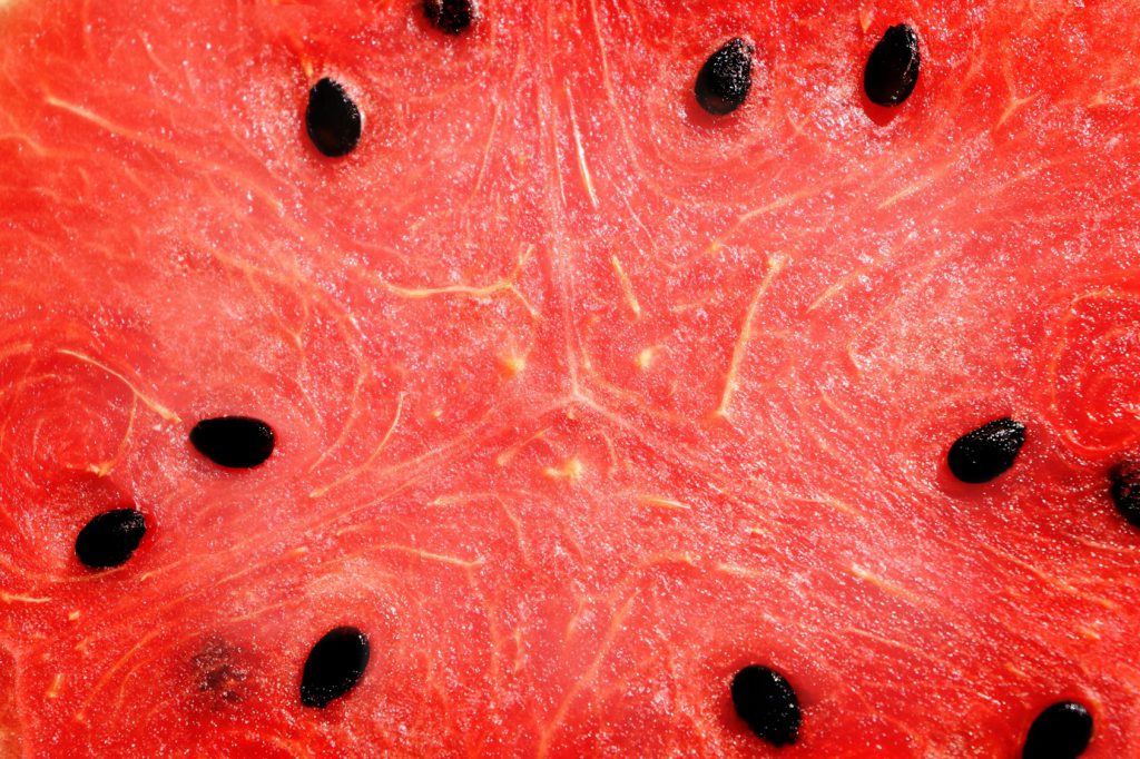 watermelon close up