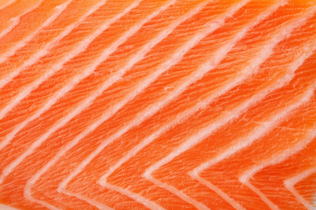 Close up of salmon