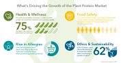 Nutrition Benefits of Plant Protein - Kerry Health And Nutrition Institute