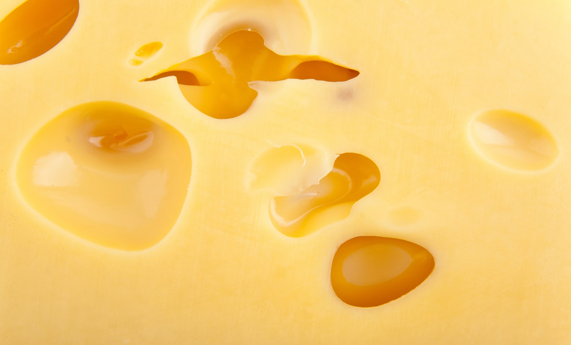 Swiss Cheese: Nutrients, Benefits, Downsides, and More