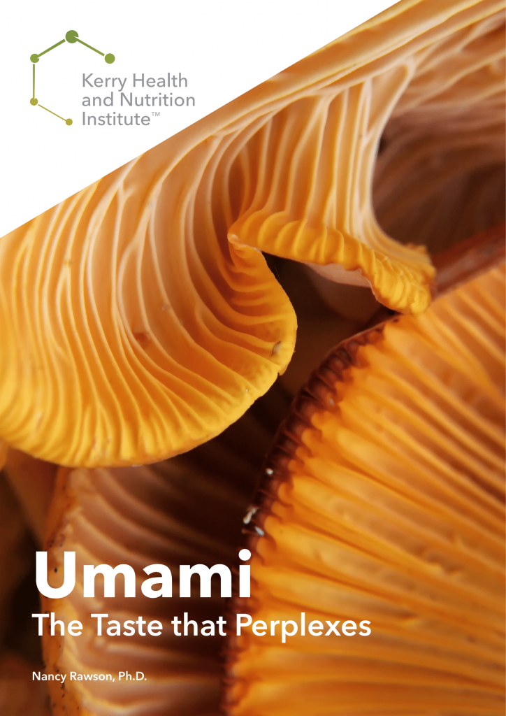 What is Umami? Answer - News & Articles - Salt of the Earth Ltd