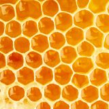 Close up of honeycomb