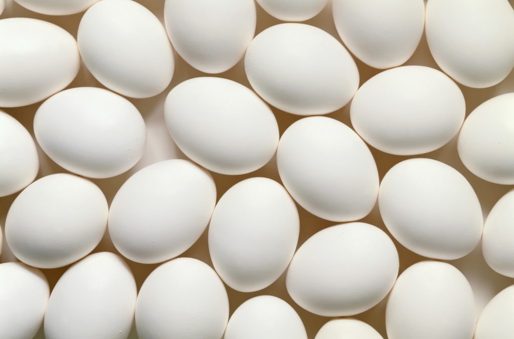 Close up of white chicken eggs