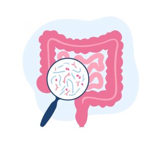 Illustration of microbiome