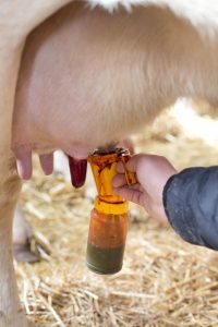 Use of iodine in dairy farming