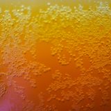 Kombucha bubbles