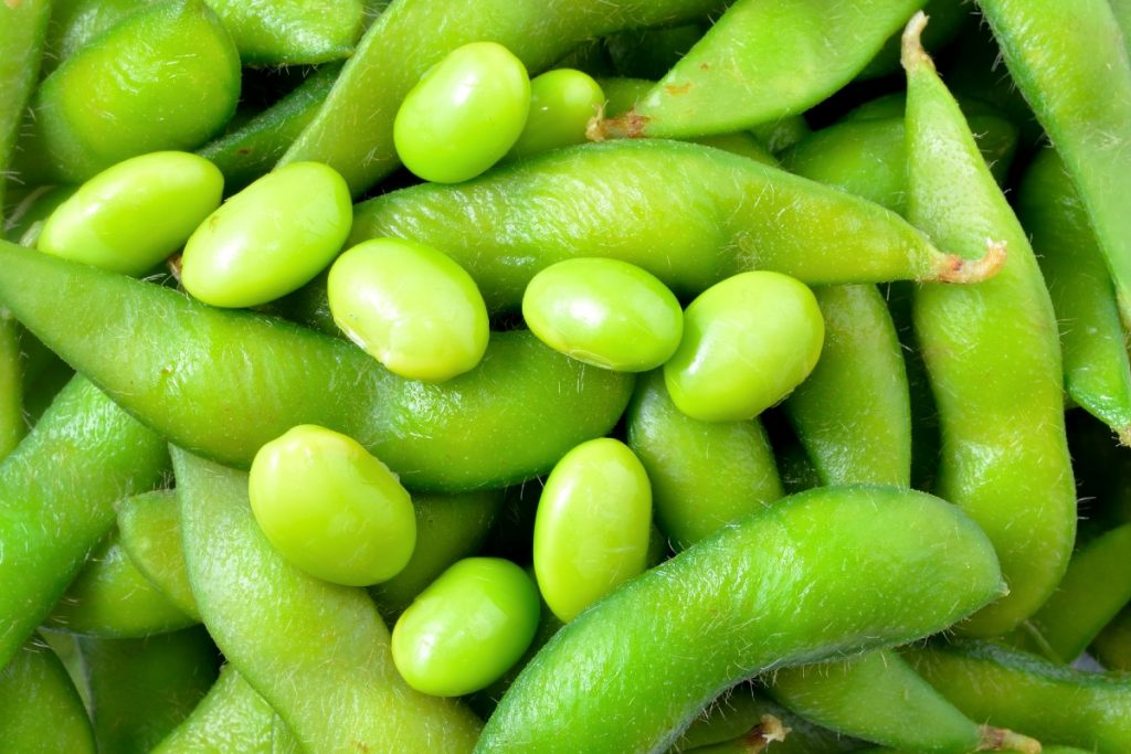 Close up of soy beans and bean pods