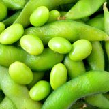 Close up of soy beans and bean pods