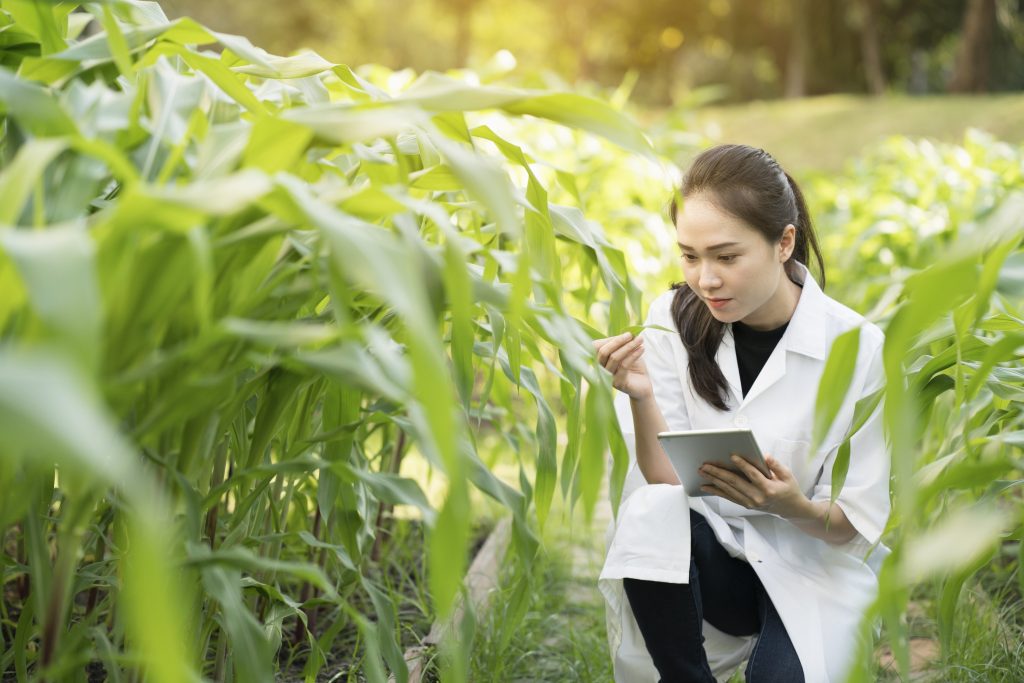 Woman examining plant