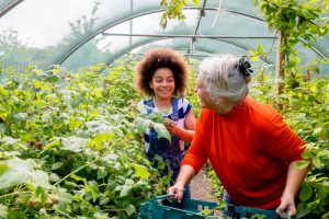 A senior woman and young girl help out in the greenhouse at the local farm.