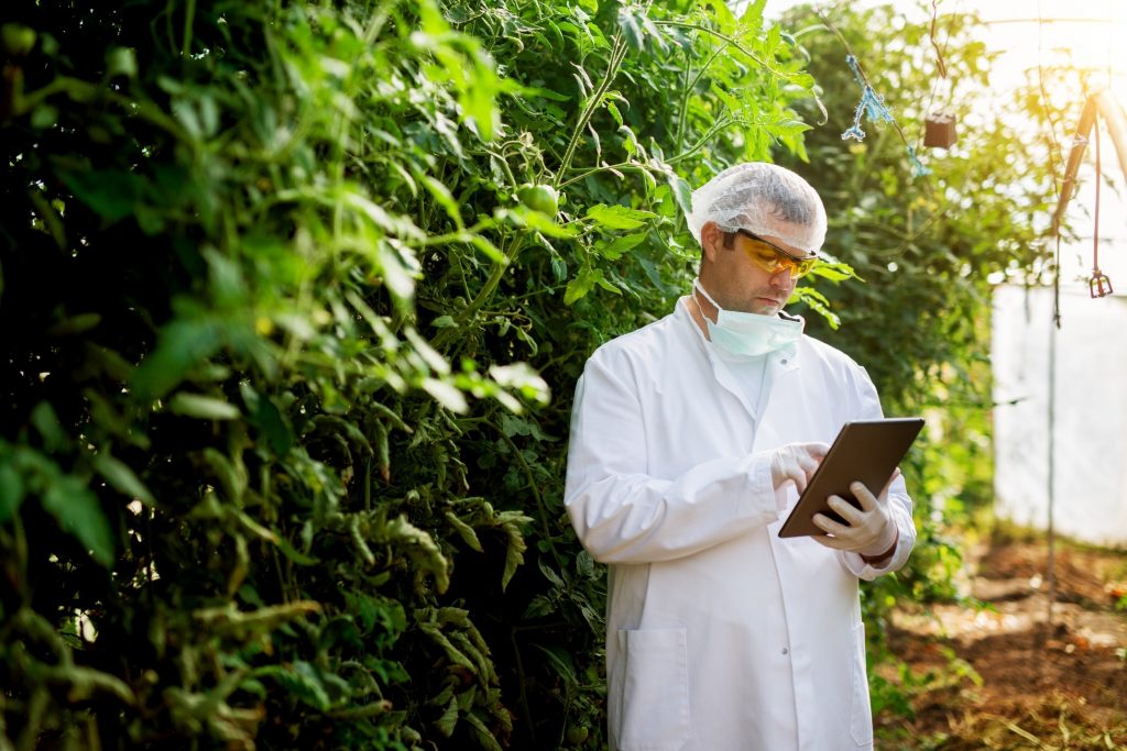 Scientist in greenhouse