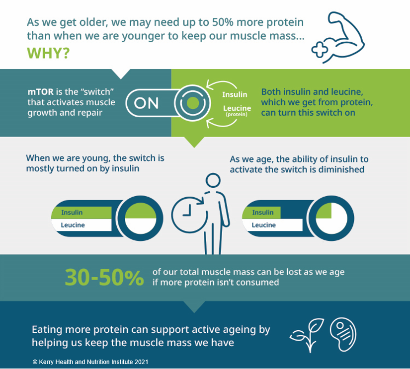 Protein intake for active individuals