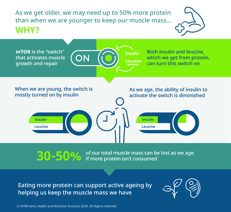 Protein intake and healthy aging