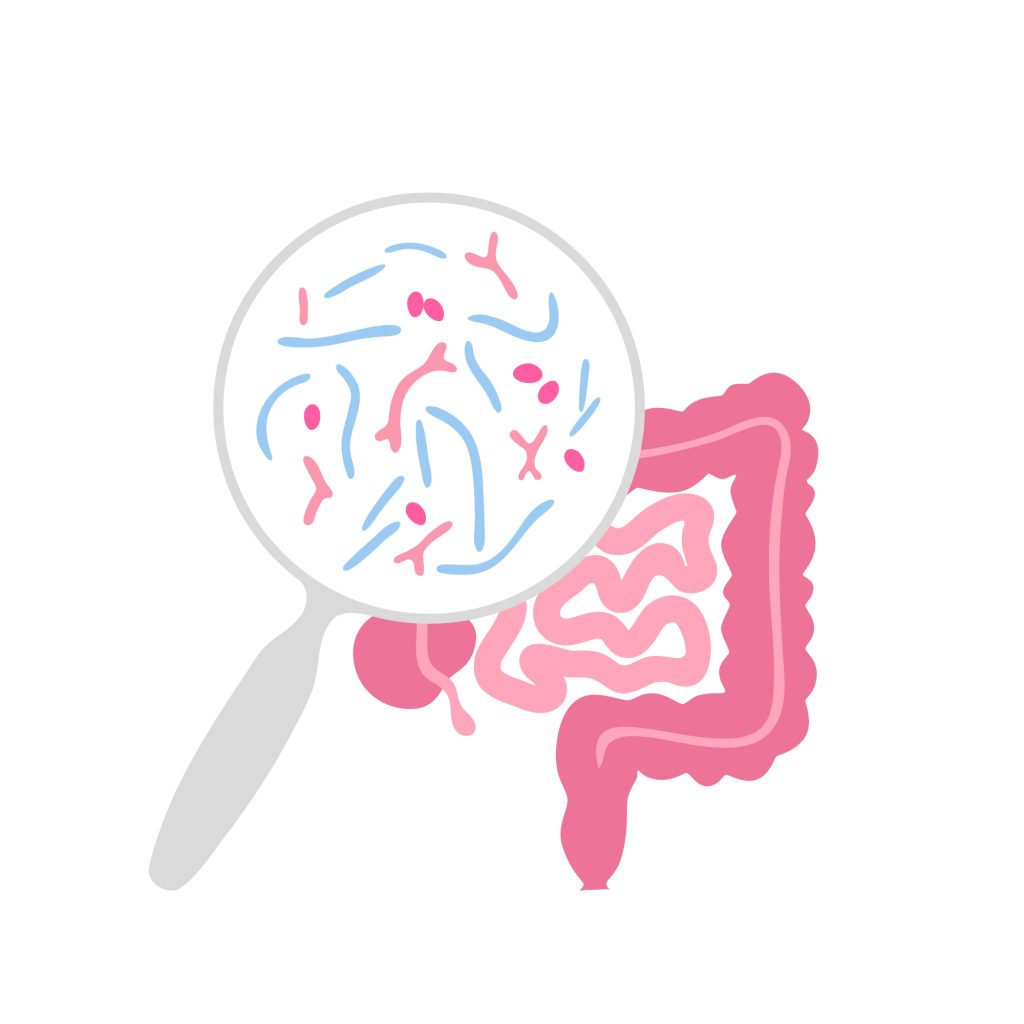 How Do Probiotics Work?
