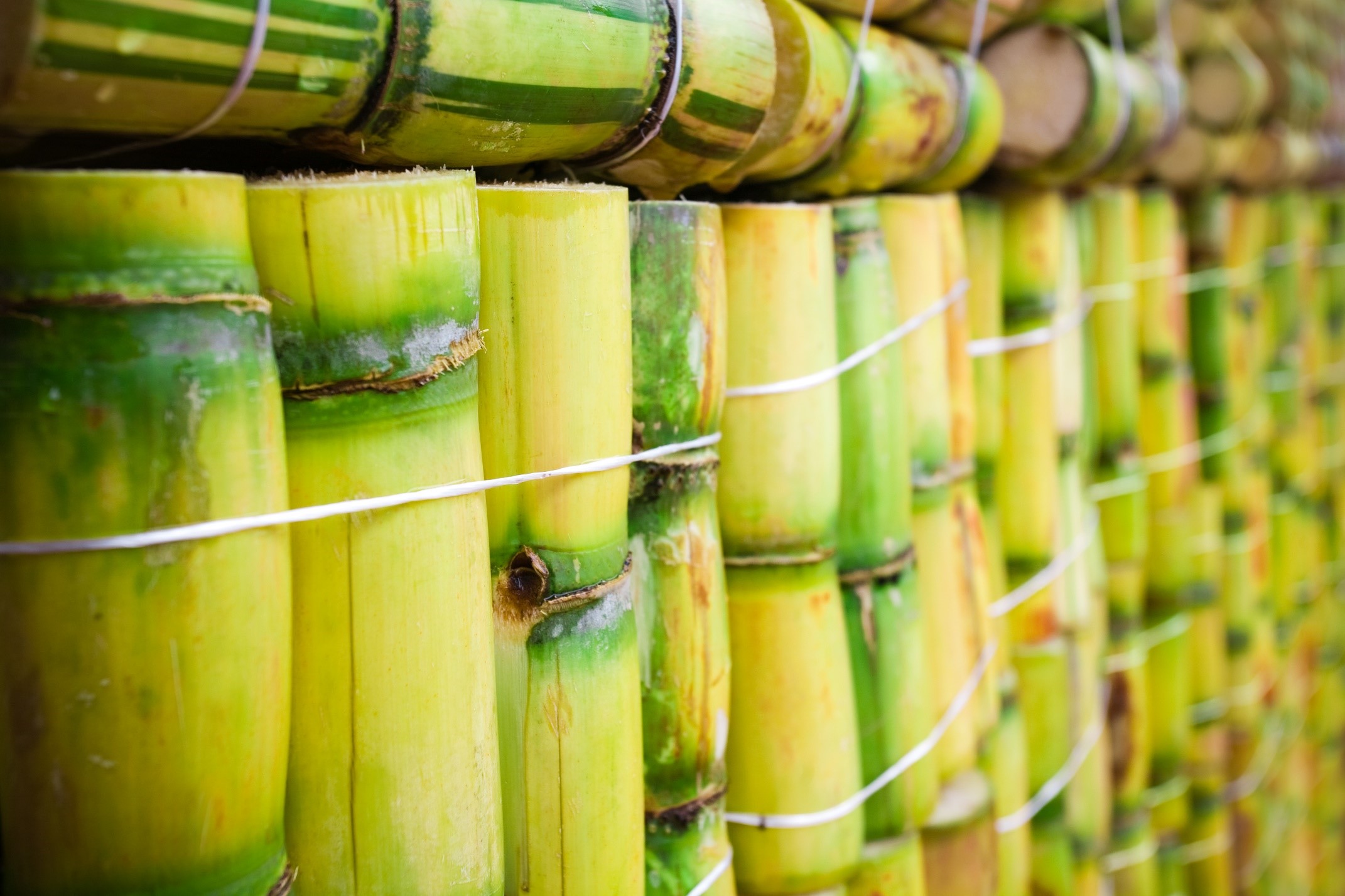 Sugar Reduction Impact on Environment and Health KHNI