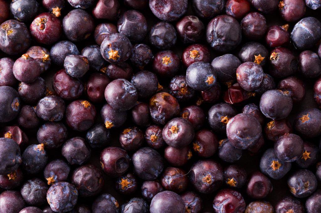 Spotlight on Elderberry – A Natural Immune Health Support