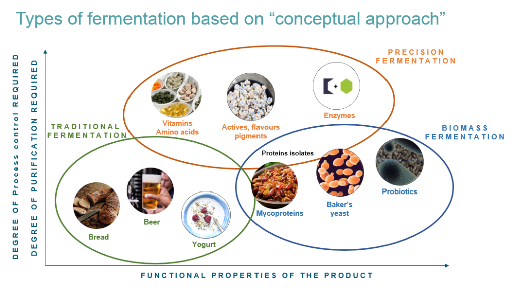Chart showing types of materials fermentation can produce, including proteins, enzymes, vitamins and minerals, etc