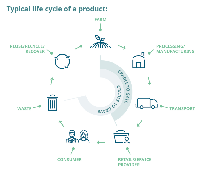 The Nutritional Needs Change as One Goes Through Different Life Stages