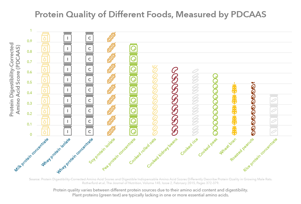 Graph showing protein quality of different foods