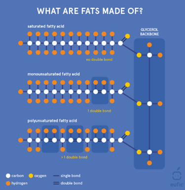 what are fats made of?
