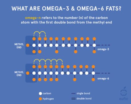 Benefits Of Omega-3 Fatty Acids - KHNI