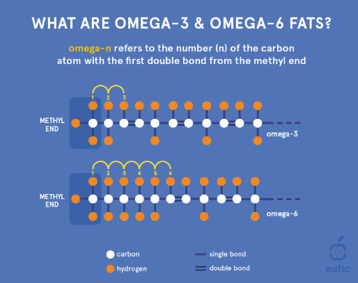 what are omega-3 and omega-6 fats?