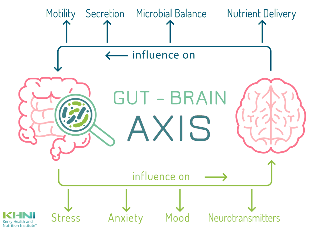 The gut-brain axis allows the gut to communicate with the brain and vice-versa