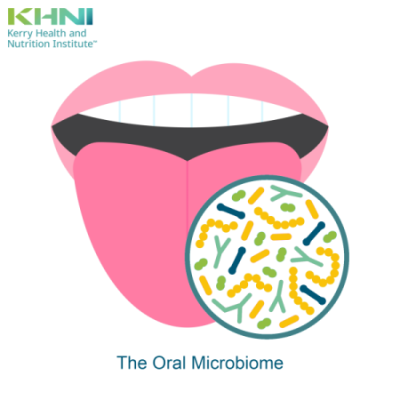 The oral microbiome