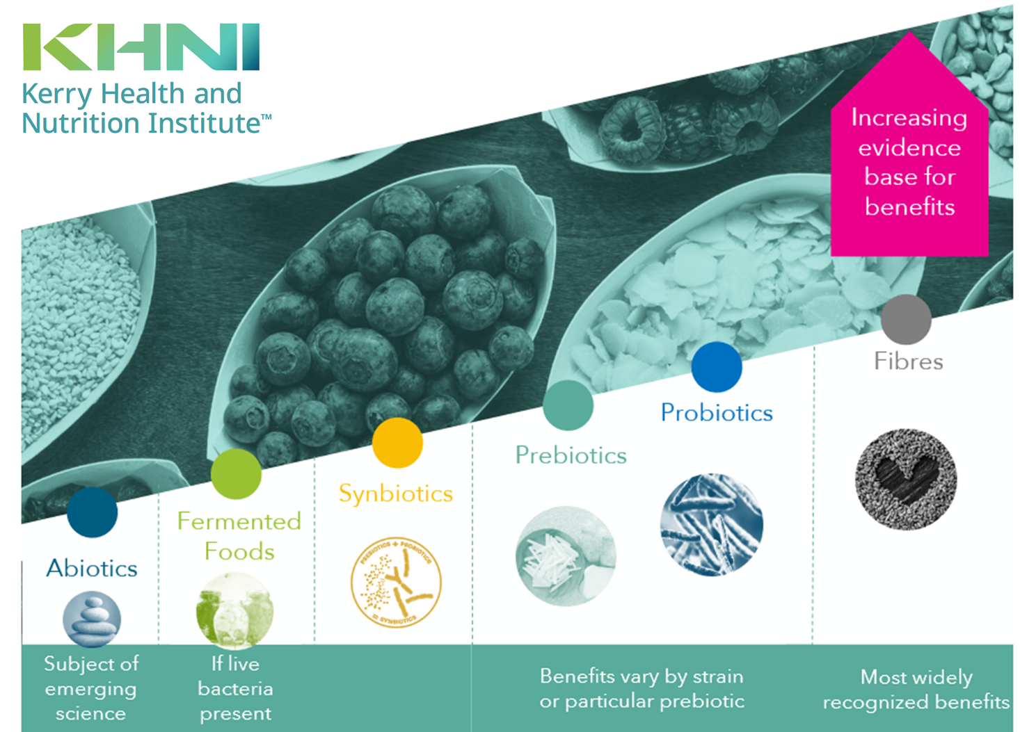 The Human Microbiome: Beyond Digestive Health – KHNI