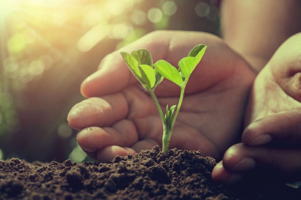 Webinar: The Future of Sustainable Nutrition – Celebrating 10 Years of KHNI