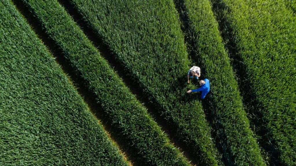 Regenerative Agriculture: Reviving Old Practices for a Sustainable Future
