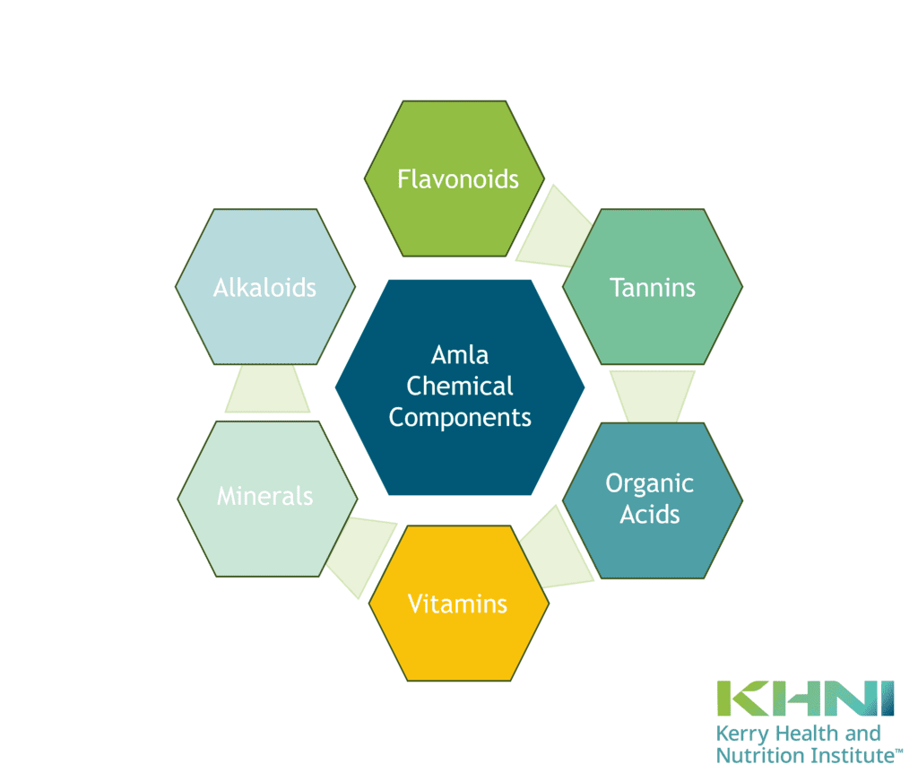 Amla - Chemical Components