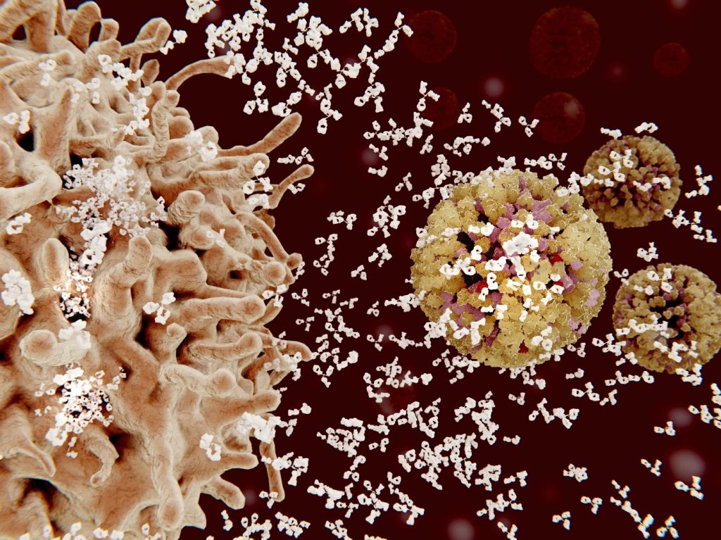 Zinc’s Role in Immune Health
