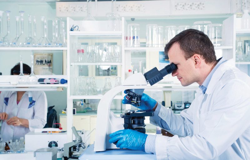 Yeast Beta Glucan  – the Secret Weapon for the Immune System